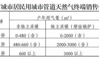 天然气终端销售